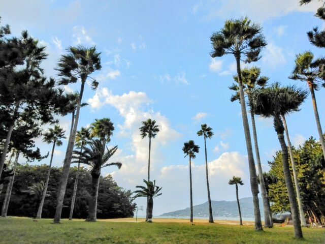 「オドフェス2025」11月30日（日）開催！＜福岡市西区小戸公園＞